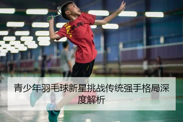 青少年羽毛球新星挑战传统强手格局深度解析